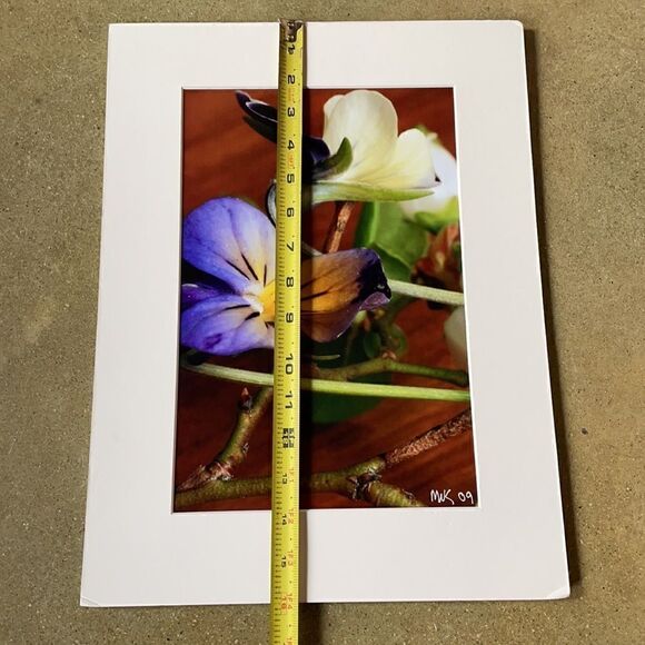 Bright & Beautiful Orchid Photograph Matted Print MIK 2009 - Picture 11 of 12